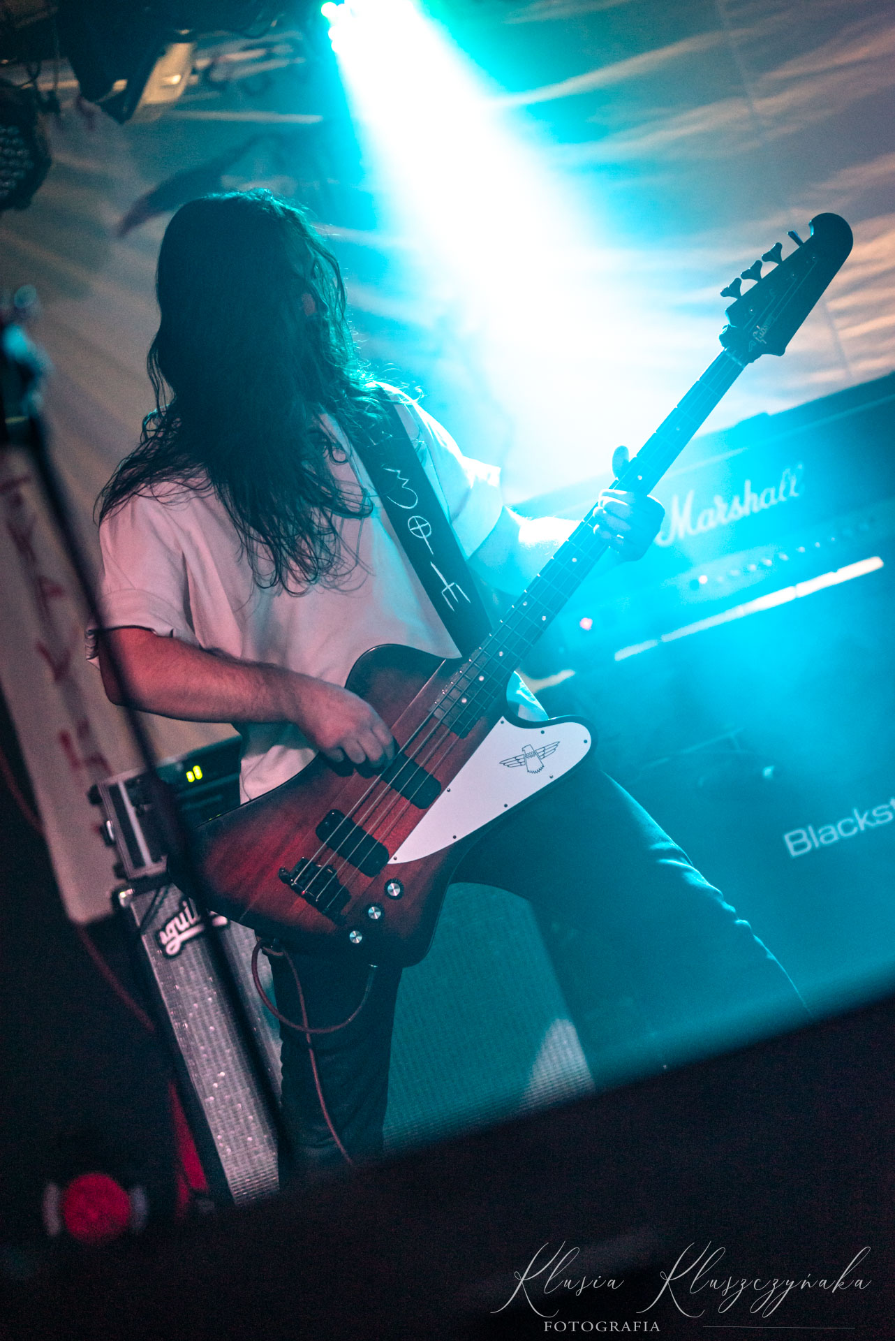 Varmia